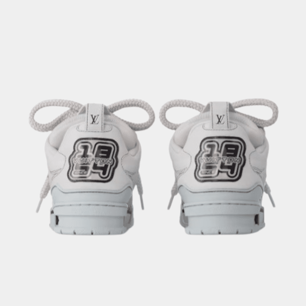 Louis Vuitton LV Sneaker Skate Grey